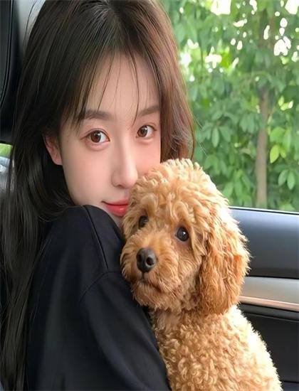 教科书式的乒乓小子适合什么人观看？目标观众群体分析